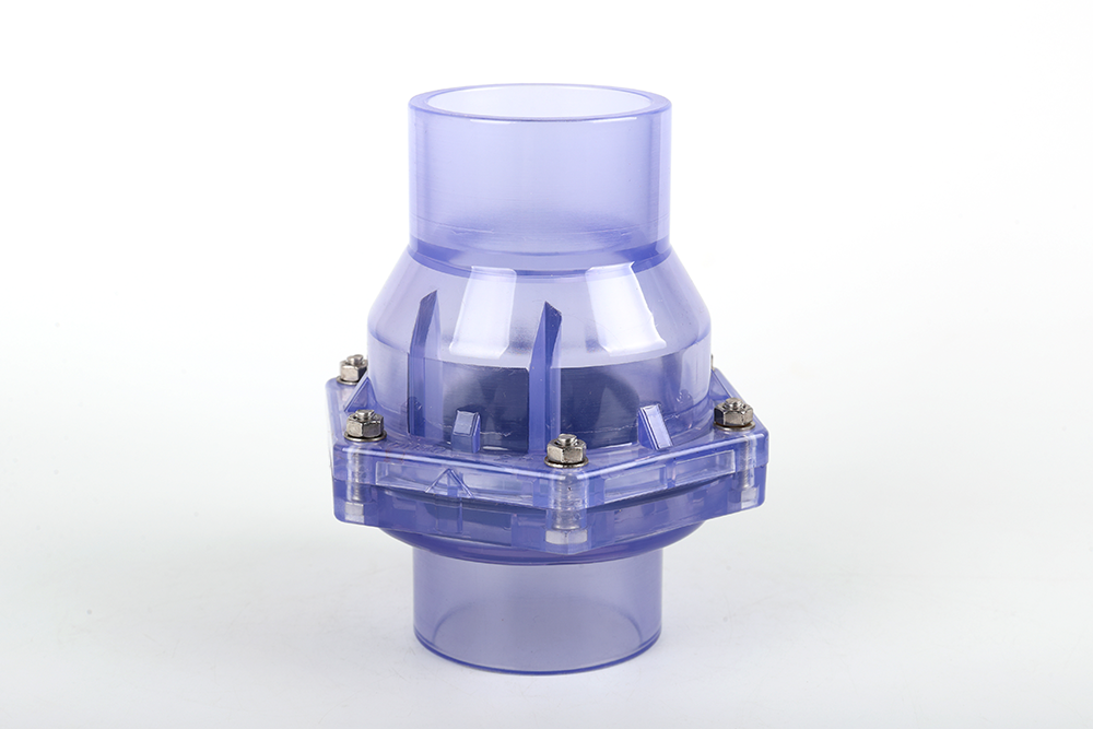 魏县透明翻板式止回阀